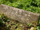 image of grave number 790620